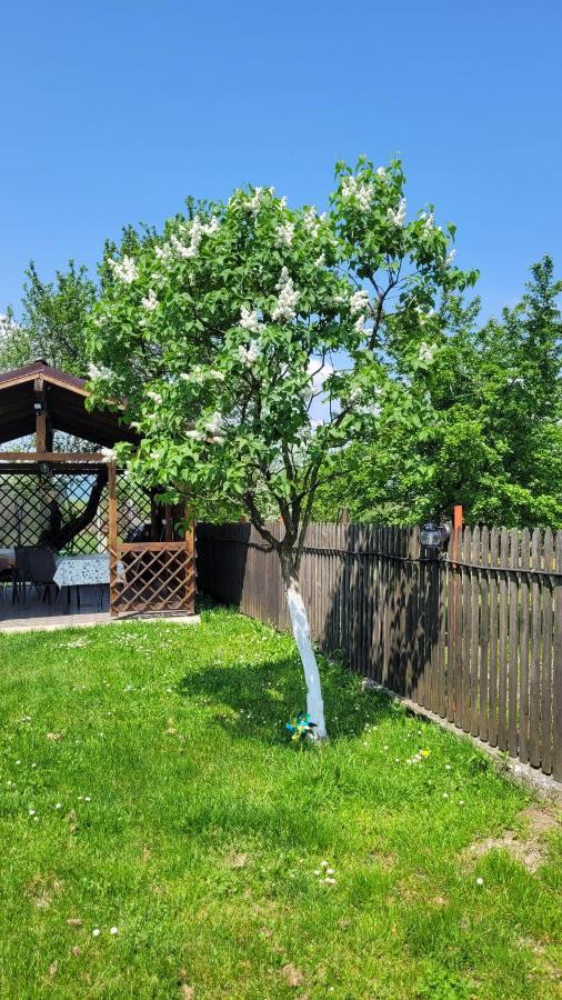 Villa Casa Dana Rîşnov Exterior foto